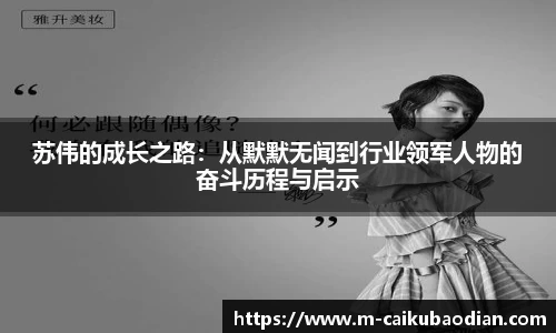 苏伟的成长之路：从默默无闻到行业领军人物的奋斗历程与启示