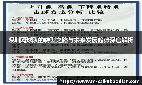 深圳网球队的转型之路与未来发展趋势深度解析